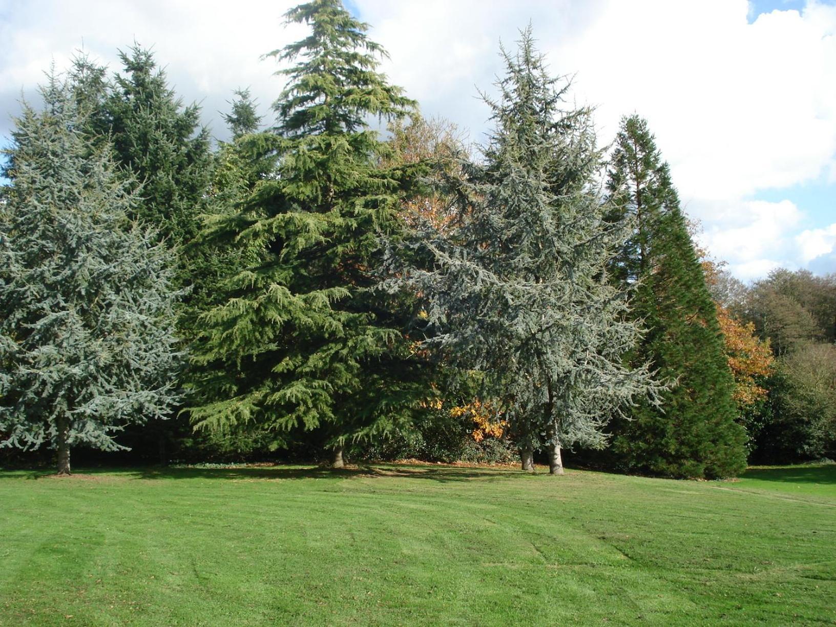Gite De Cohignac Berric Bagian luar foto